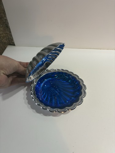 Beurrier coquillage coquille - beurrier,