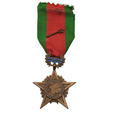 A23/11/25 (REF31041) Belle médaille Rhin  et Danube 39/45 WW2 FRENCH MEDAL