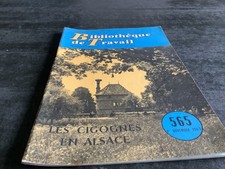 LES CIGOGNES EN ALSACE