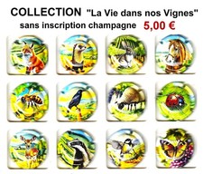 capsules de champagne