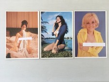 Lot  3  Cartes Postales