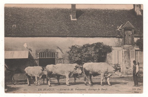 Rare cpa beauce ferme - beauce,
