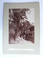 Ceylan -  Sri Lanka  c1900