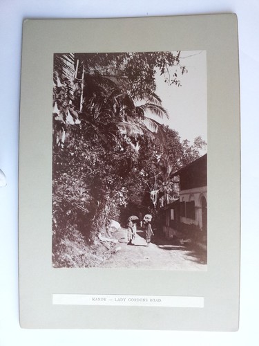 Ceylan sri lanka c1900 - ceylan,