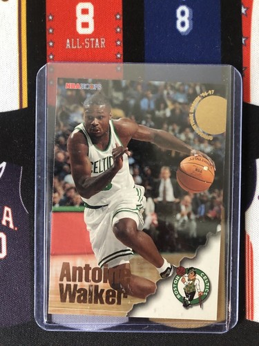 Antoine walker 1996 nba - antoine,