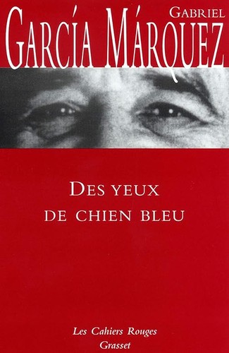 Des yeux chien bleu - des,