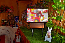 camion neuf etabli en bois