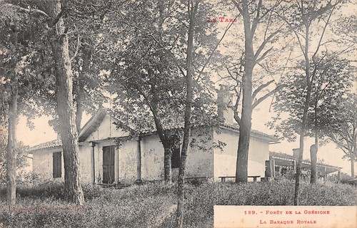 Foret gresigne la - foret,