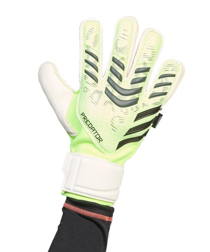 Gants gardien predator - gardien,