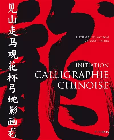 Calligraphie chinoise lucien - calligraphie,