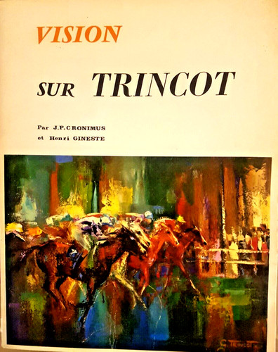 Vision sur trincot art - sur,
