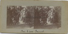 Pau Le parc Baumont Vintage stereo stereoview