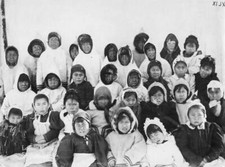 Canada labrador nain - group, of