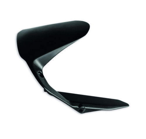 Garde boue carbone - garde-boue,