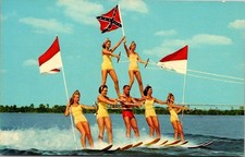 Vintage Florida Postcard Lot