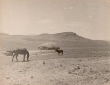 1956 57 GUERRE ALGERIE PHOTO SCENE REGION KHENCHELA
