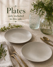 Set of 2 IKEA Dinera DINNER