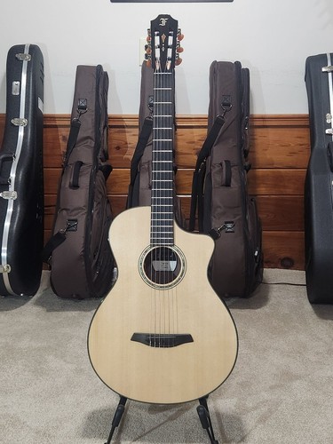Furch guitar grand nylon - furch,