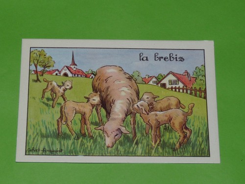 Chromo 1960 1970 - 1960-1970, ecole