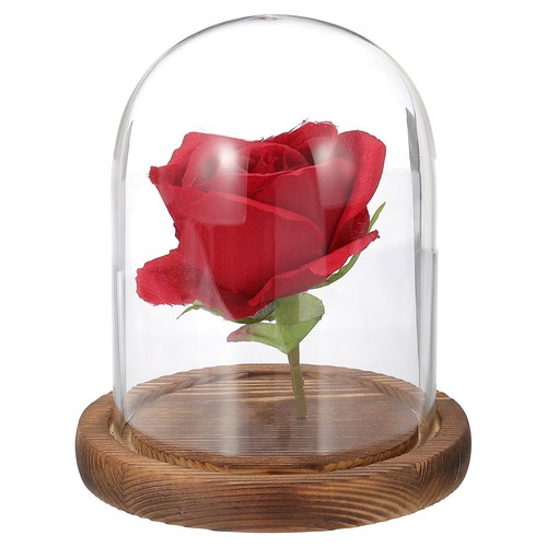Dôme verre pour cloche - en,