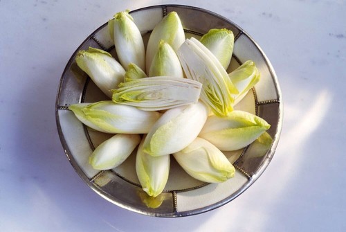 Chicorée malinese vroege - vroege,