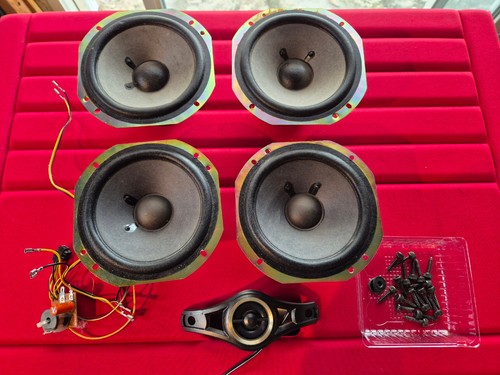 Lot boomers medium 1 - lot,