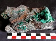 Atacamite naturelle brute –