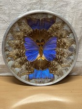Superbe Assiette Déco Papillon Déco Vintage 