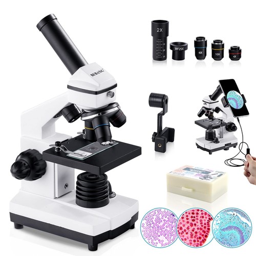 Microscope bebang 100x - 100x, à