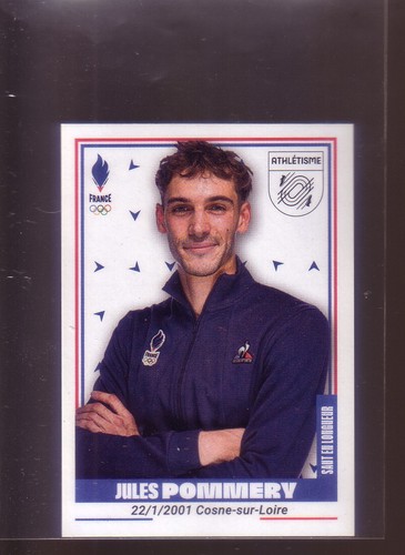 Sticker panini equipe france - equipe,