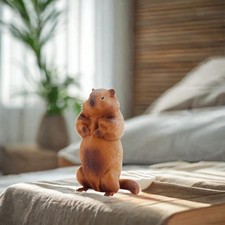 Figurine De Marmotte State De