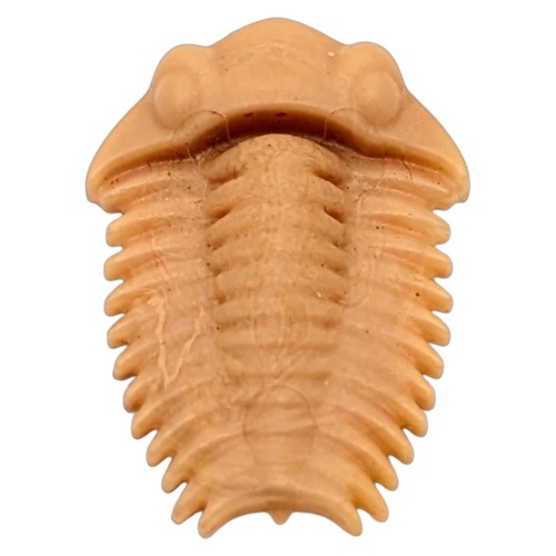 Playmobil fossile marron