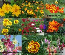 GRAINES DE FLEURS BIO (ŒILLET DE POÈTE, POIS DE SENTEUR, ROSE) PARMI 23 VARIÉTÉS