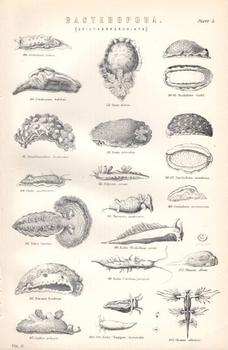 1880
