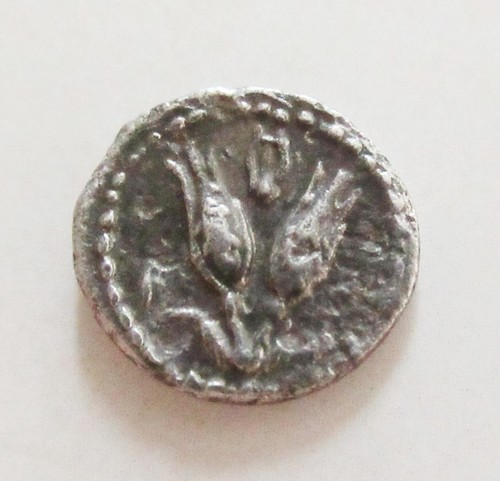 Caria rhodes 275 250 - caria,,