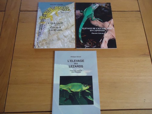 Lot elevage gecko leopard - 3,