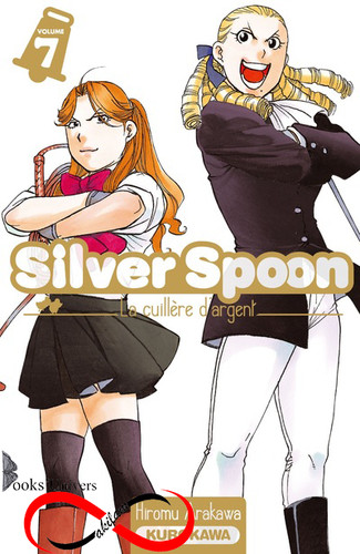 Silver spoon cuillère - silver,