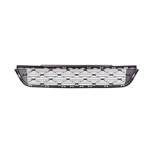 Grille pare choc - de, avant
