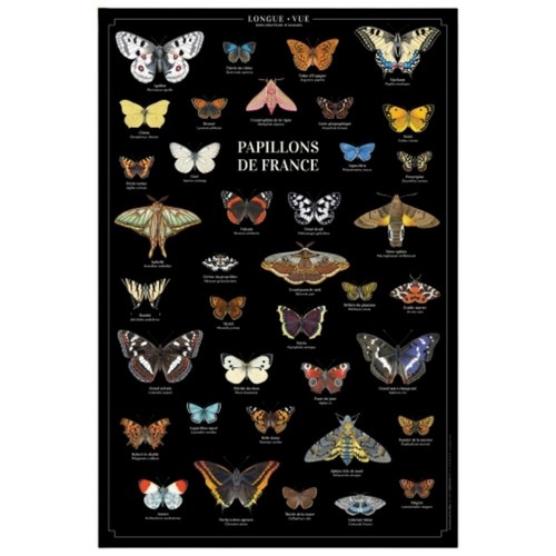 Papillons france affiche - papillons, de
