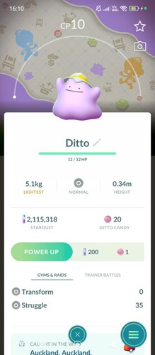 Ditto wearing hat background - hat,