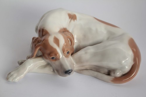 Chien pointer anglais - pointer,
