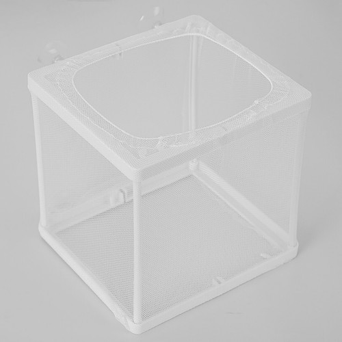 Fish tank aquarium - aquarium, guppy