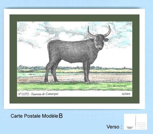 13372 carte postale - b,
