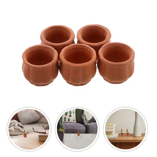 Pcs pot succulentes - ,