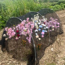 Tunnel de Croissance