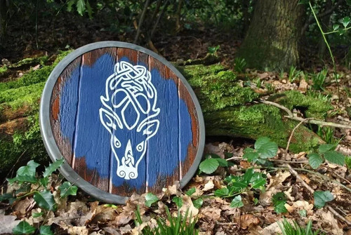 Bouclier viking accessoire