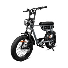 Fat Bike Vélo Électrique 750W