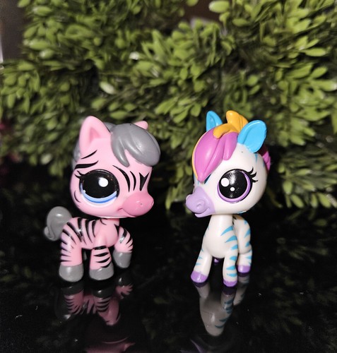 Authentic littlest pet - ✨️authentic,