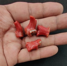 Pierre précieuse brute corail
