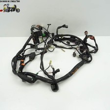 Faisceau électrique  Suzuki 650  Gladius SVF 2009